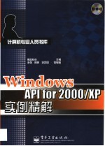 Windows API for 2000/XP实例精解 含光盘1张