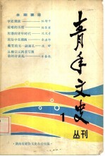 青年文史  丛刊  1