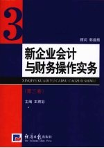 新企业会计与财务操作实务  第3卷