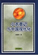 小农意识与中国现代化