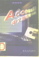 Access 97中文版实用100问