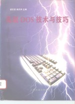 高级DOS技术与技巧