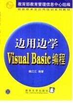 边用边学Visual Basic编程