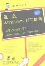 傻瓜Windows NT联网