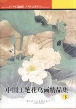 中国工笔花鸟画精品集  下