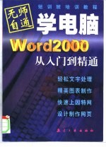 Word 2000从入门到精通