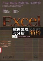 Excel数据处理与分析实战技巧精粹