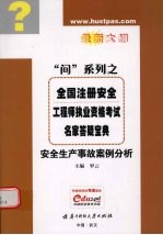 全国注册安全工程师执业资格考试名家答疑宝典  最新大纲  安全生产事故案例分析