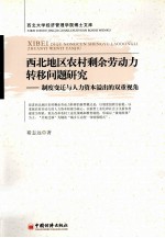 西北地区农村剩余劳动力转移问题研究  制度变迁与人力资本溢出的双重视角