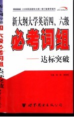 新大纲大学英语四、六级必考词组达标突破