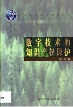 数字技术的知识产权保护