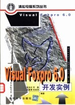 Visual FoxPro 6.0开发实例