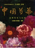 中国芍药品种鉴赏与培育