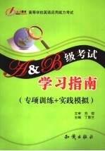 高等学校英语应用能力考试 A、B级 学习指南 专项训练+实践模拟