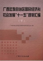 广西壮族自治区国民经济和社会发展“十一五”规划汇编  下