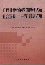 广西壮族自治区国民经济和社会发展“十一五”规划汇编  中