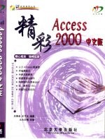 精彩Access 2000中文版