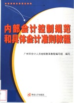 内部会计控制规范和具体会计准则教程