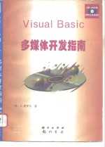 Visual Basic多媒体开发指南