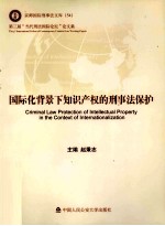 国际化背景下知识产权的刑事法保护  第三届“当代刑法国际论坛”论文集