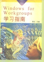 Windows for Workgroups学习指南 Windows3.1增强版