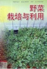 野菜栽培与利用