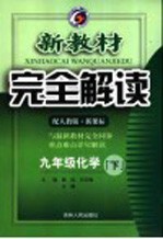 新教材完全解读  化学  九年级  下  人教版