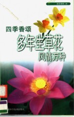 四季香颂  多年生草花风情万种