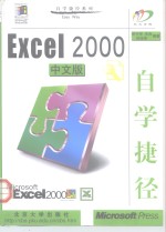 Excel 2000中文版自学捷径