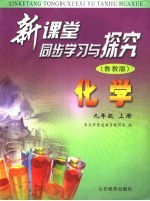 新课堂同步学习与探究  鲁教版  九年级化学  上