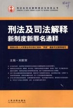 刑法及司法解释新制度新罪名通释