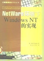 NetWare环境下Windows NT的实现