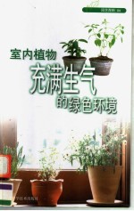 室内植物  充满生气的绿色环境