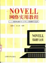 NOVELL网络实用教程 NetWare V3.12 V4.1实际操作与应用