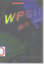 WPS 97实用100问