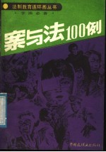 案与法100例