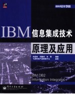 IBM信息集成技术原理及应用