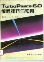 Turbo Pascal 6.0编程技巧与实例