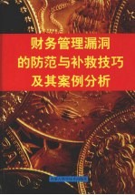 财务管理漏洞的防范与补救技巧及其案例分析  中