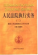 人民法院执行实务  2