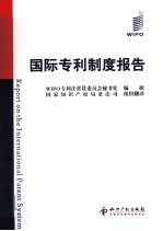 国际专利制度报告