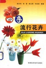 四季流行花卉