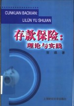 存款保险：理论与实践