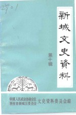 新城文史资料  第10辑