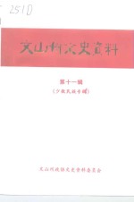 文山州文史资料  第11辑  少数民族专辑