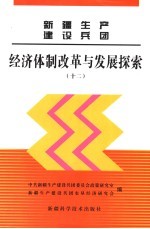 新疆生产建设兵团经济体制改革与发展探索  12