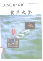 DOS 1.0-6.0实用大全