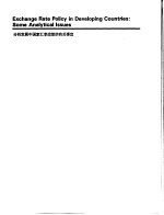 财政金融规划与政策 第2册 a -精选阅读材料 分析发展中国家汇率政策的有关事宜