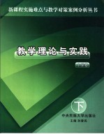 教学理论与实践  小学卷  下