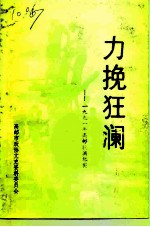 力挽狂澜  -1991年高邮抗洪纪实